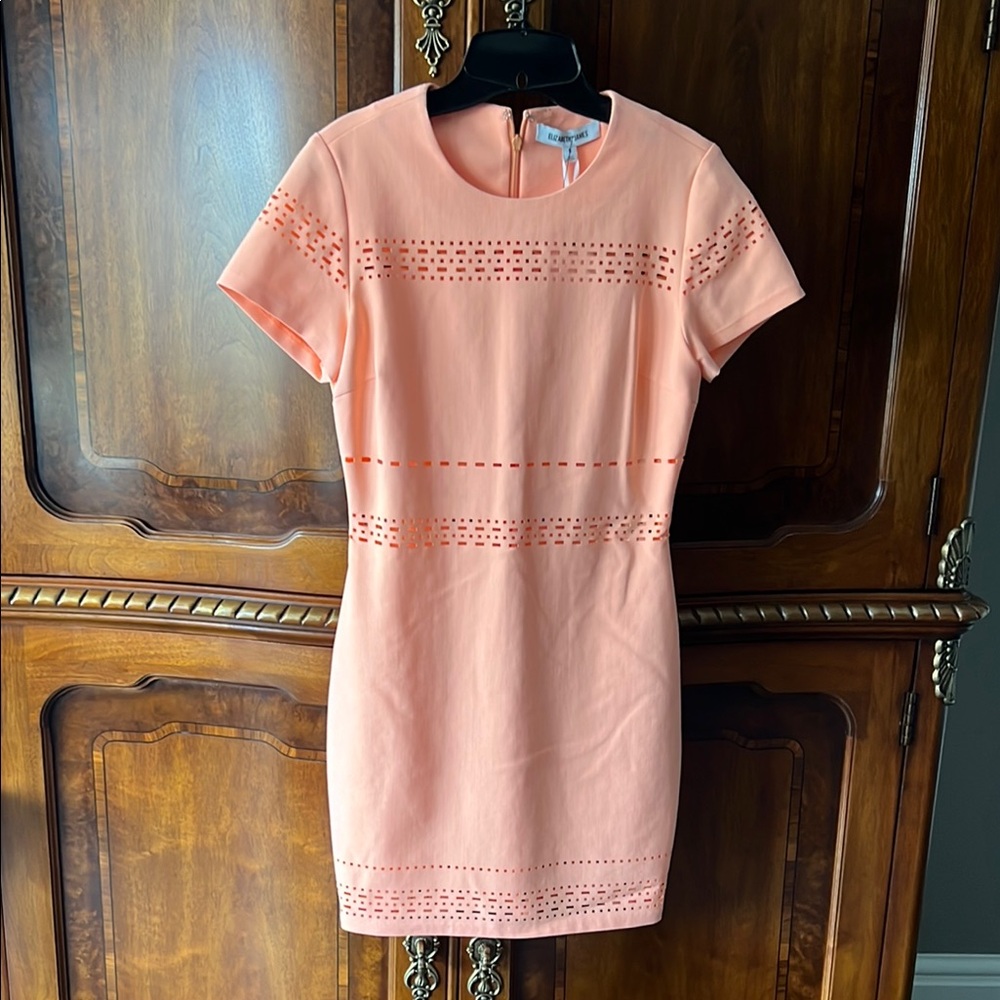 Elizabeth and James Pink Mini Dress